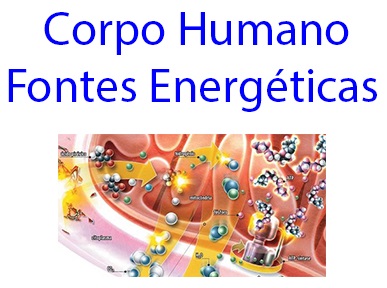 Conhecimentos Fontes-Energéticas-Corpo-Humano