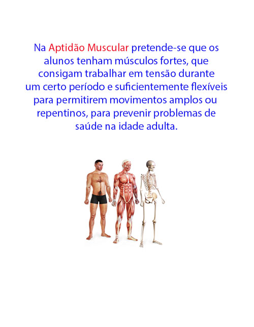 Fit Aptidão Muscular