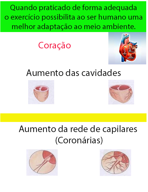 Manual-Beneficios-Folha-2