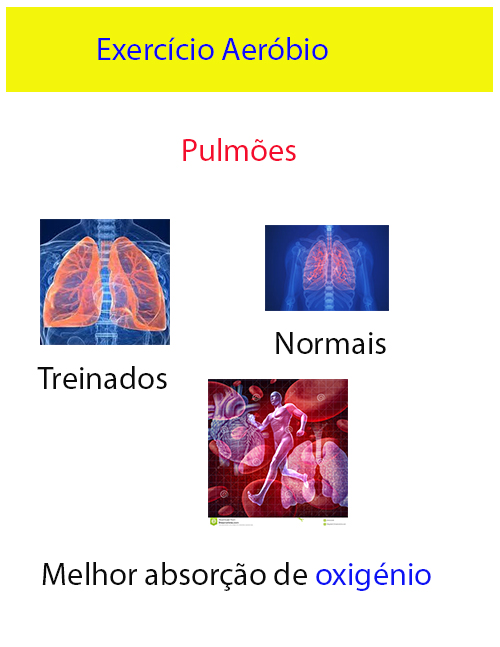 Manual-Beneficios-Folha-3