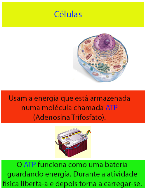 Manual-Fontes-Energeticas-Folha-5