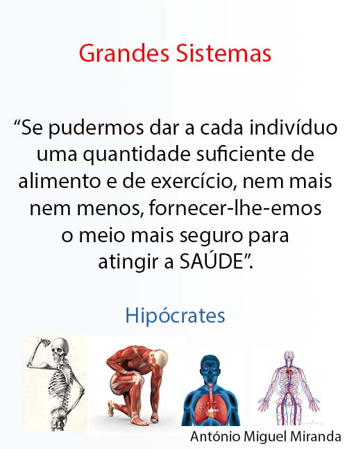 Manual-Grandes-Sistemas-Folha-1